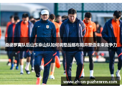 桑德罗离队后山东泰山队如何调整战略布局并塑造未来竞争力 桑德罗离队后山东泰山队如何调整战略布局并塑造未来竞争力