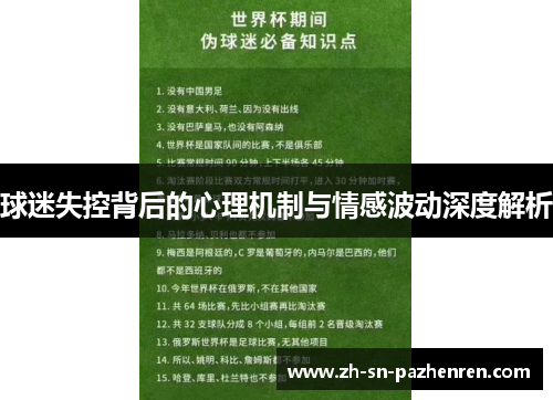球迷失控背后的心理机制与情感波动深度解析 球迷失控背后的心理机制与情感波动深度解析