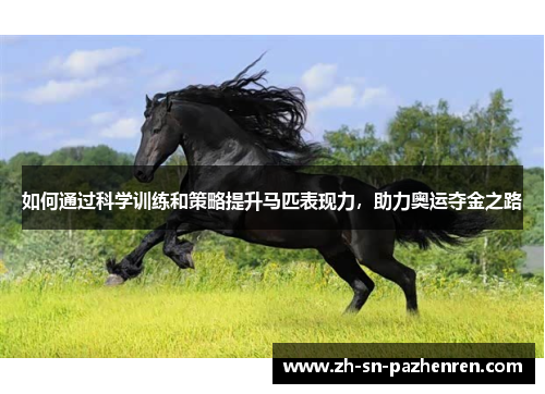 如何通过科学训练和策略提升马匹表现力,助力奥运夺金之路 如何通过科学训练和策略提升马匹表现力,助力奥运夺金之路