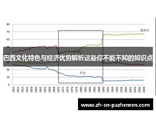 巴西文化特色与经济优势解析这些你不能不知的知识点 巴西文化特色与经济优势解析这些你不能不知的知识点