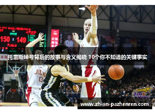托雷斯绰号背后的故事与含义揭晓 10个你不知道的关键事实