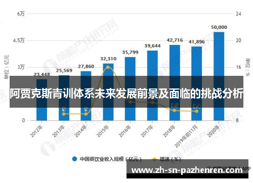 阿贾克斯青训体系未来发展前景及面临的挑战分析 阿贾克斯青训体系未来发展前景及面临的挑战分析