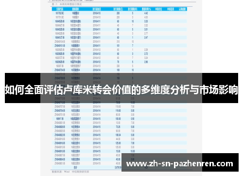 如何全面评估卢库米转会价值的多维度分析与市场影响 如何全面评估卢库米转会价值的多维度分析与市场影响