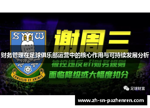 财务管理在足球俱乐部运营中的核心作用与可持续发展分析