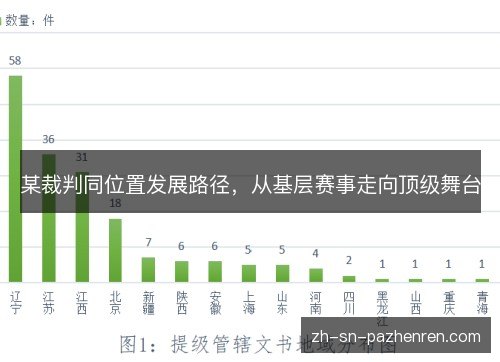 某裁判同位置发展路径，从基层赛事走向顶级舞台